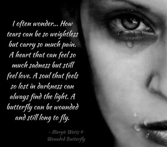 受傷的蝴蝶 依然可以飛舞