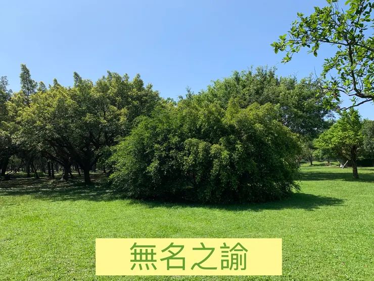 寶貝，妳記起來妳原來是誰了嗎？