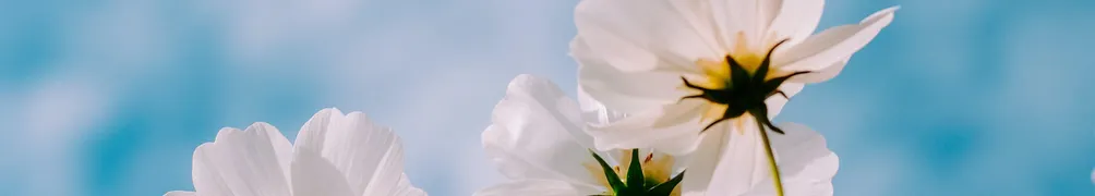 整理師 ZN的沙龍