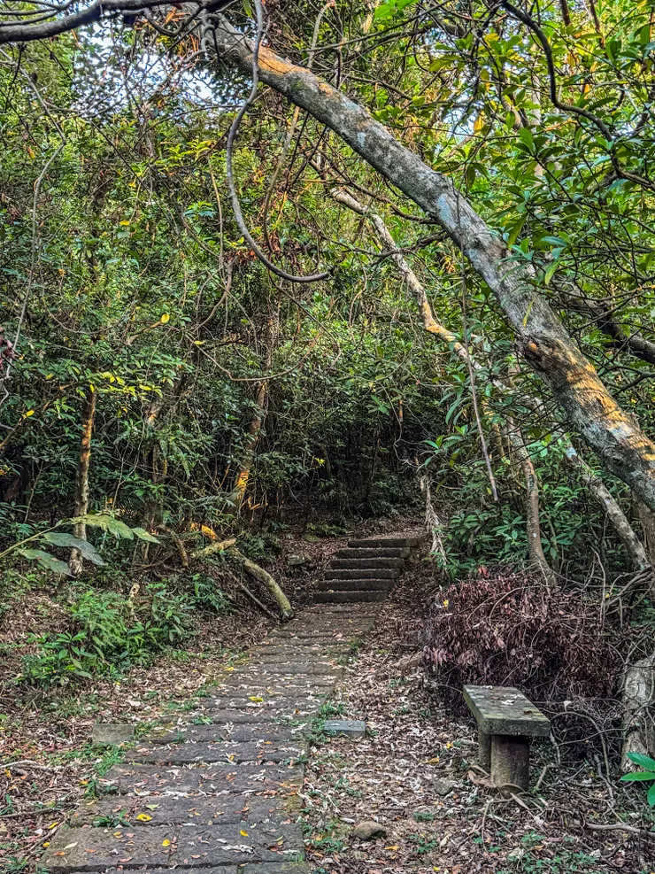 一開始都走在樹林裡，因為起登早所以有涼～～