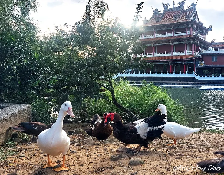 ▲龍潭觀光大池/圖片來源：Betty's Jump Diary