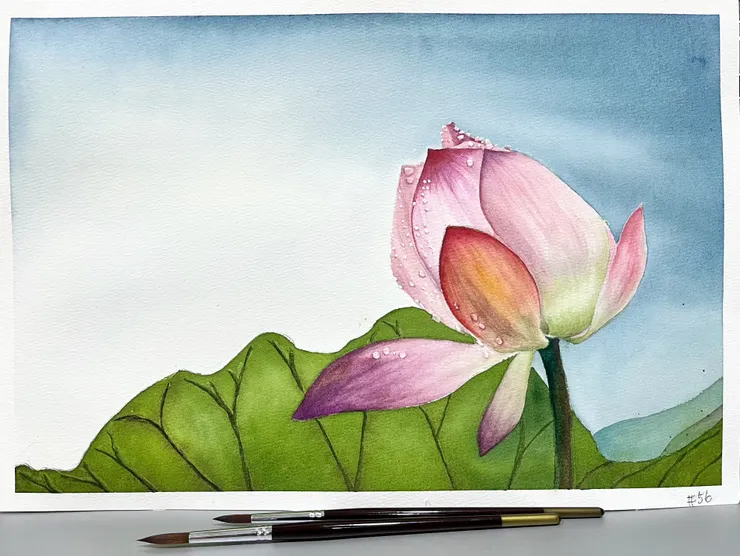 圖YH.CC@水彩練習 W56雨荷II, 38x26cm, APR2024