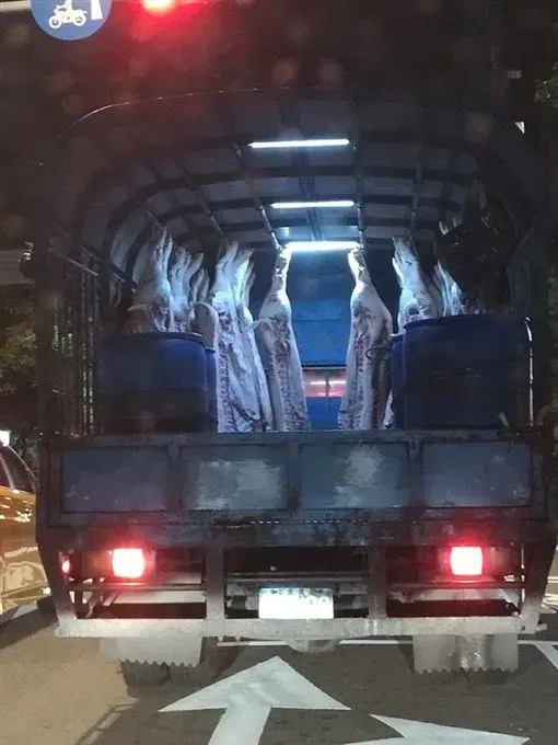 殺豬車