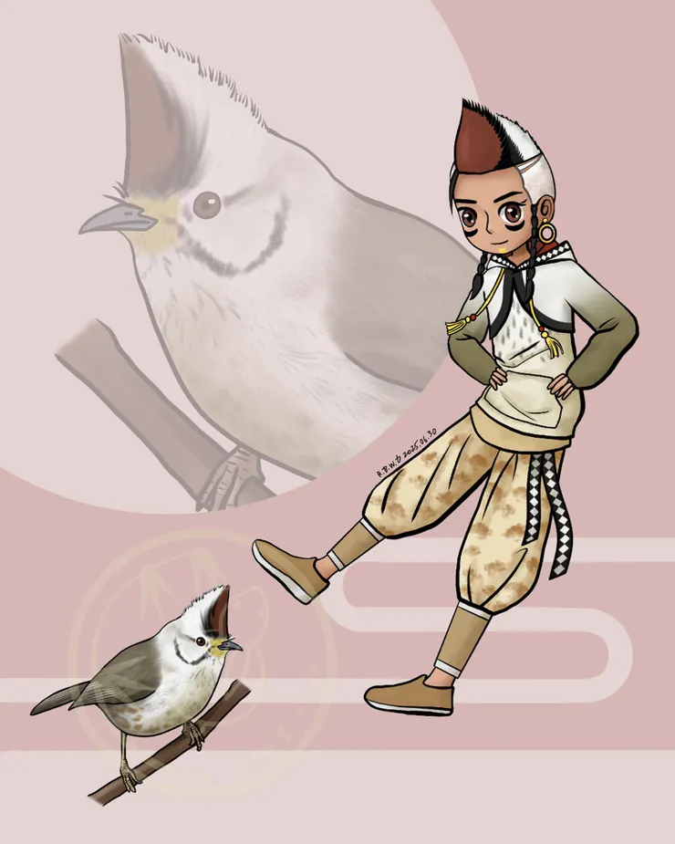 冠羽畫眉 2025.06