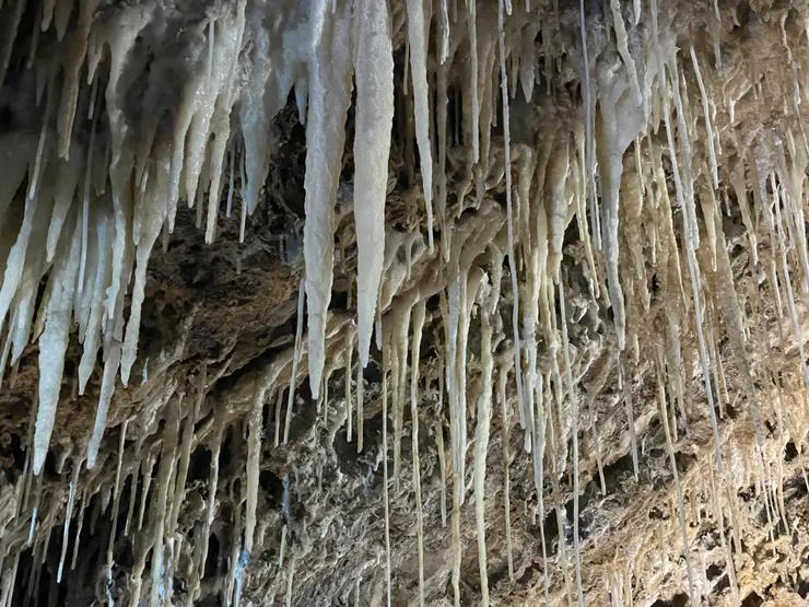 Mole Creek Caves