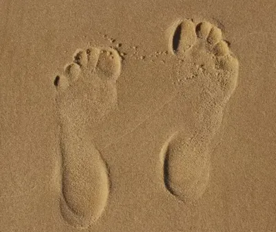 勇者足跡記錄👣