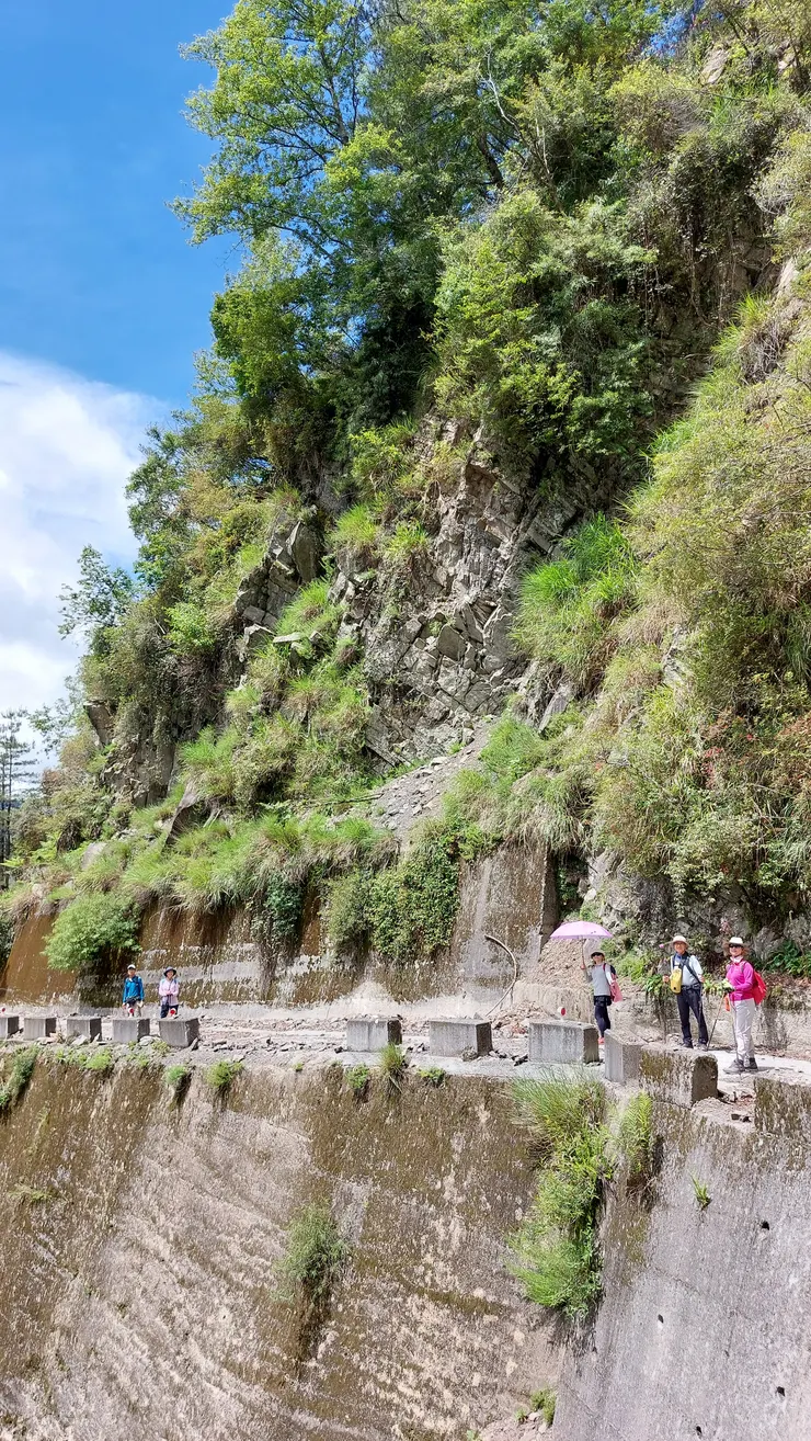 沿著峭壁中的林道前進