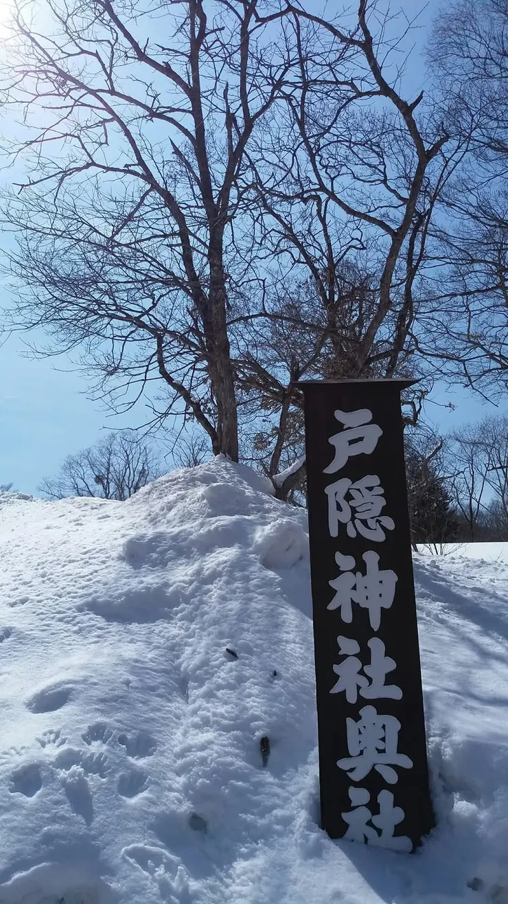 戶隱神社蠻值得ㄧ遊的，離JR長野站約1小時車程。
