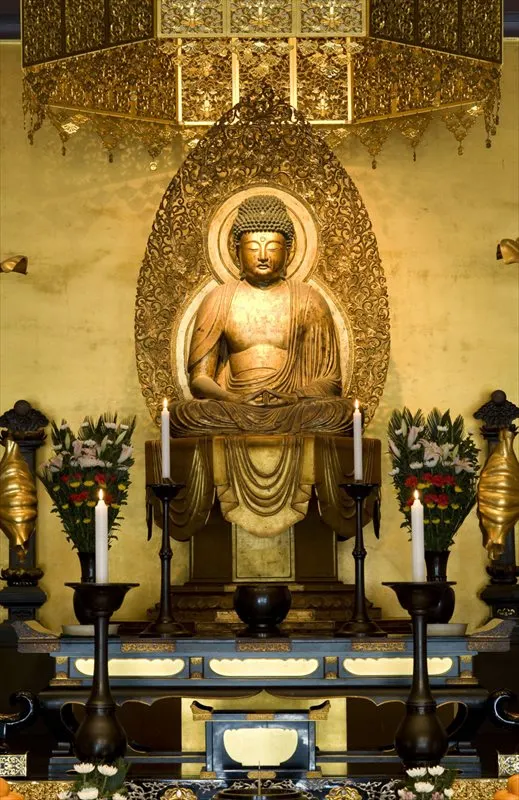 專心持念「阿彌陀佛」萬德洪名，期生淨土