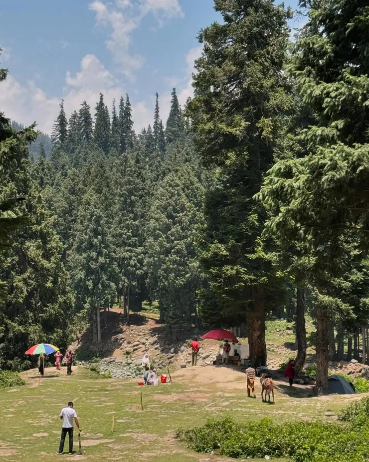 大多數印度人都在這裡歇息、野餐