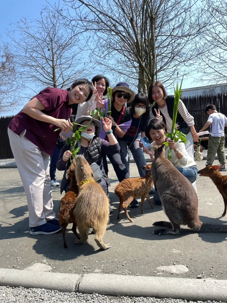 遊客正興奮地餵食水豚、山羌、袋鼠。(攝影/康秋蓉)