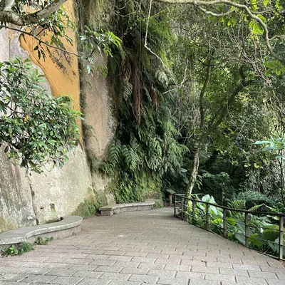 山中閒人的沙龍