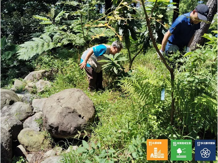 趁正午到臨前，刈除區內過剩的野草叢，以保持林內的植物多樣性