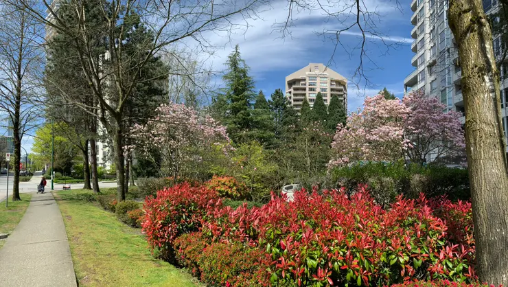 大溫哥華地區街道-加拿大-神獸駐區