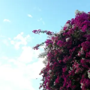 嚼嚼人生滋味的沙龍