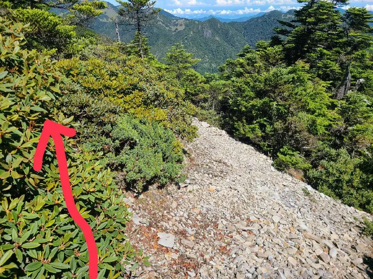 窄縫左上切勿直行