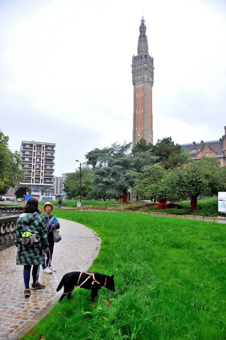 【巴黎門週圍草地順便遛狗，背景高塔為里爾市廳鐘樓。】
