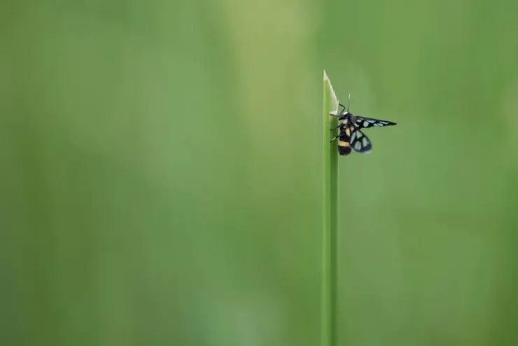 Photo by Jordan Arnold on Unsplash