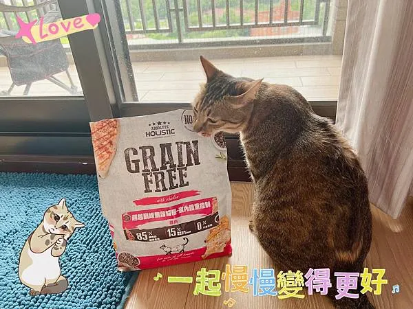 Absolute holistic超越顛峰無穀貓糧