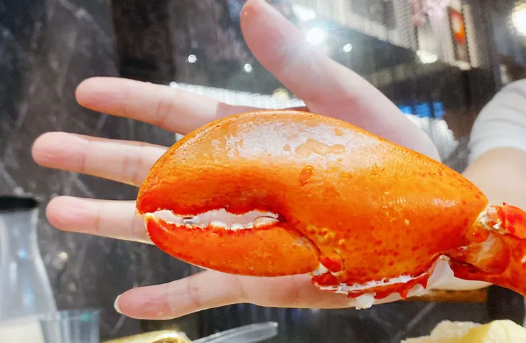 【武鶴和牛火鍋-吉林總店】A5和牛吃到飽、鱈場蟹腳吃到飽,送波士頓龍蝦│台北火鍋吃到飽推薦