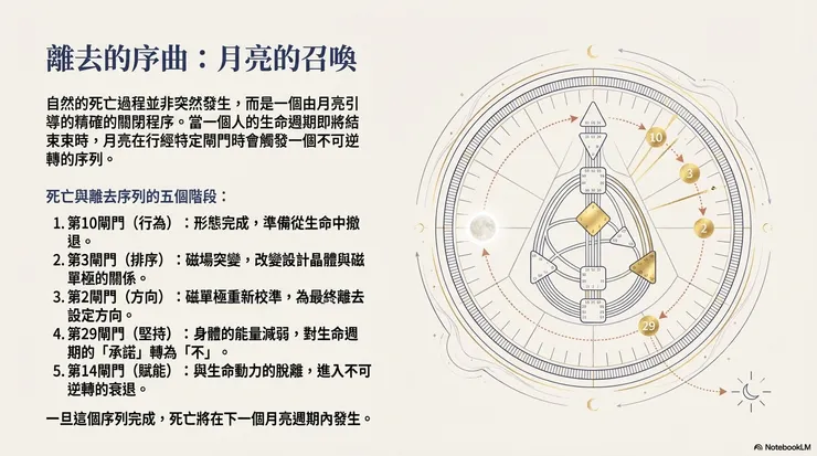 圖源：Google NotebookLM