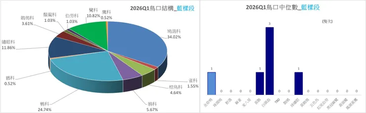 本季藍樣段之鳥口結構圖(左)及其鳥口中位數比較圖(右)