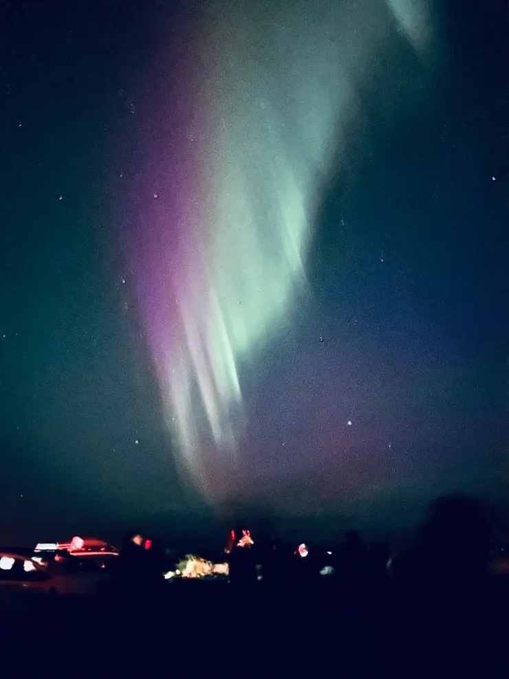 沒多做功課、手機拿了就亂拍，而且太冷全身發抖。