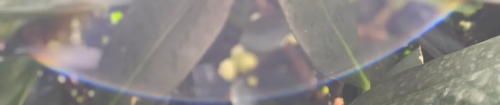 Bina 療域 • 聊癒的沙龍