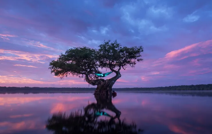 吊床露營，佛羅里達州