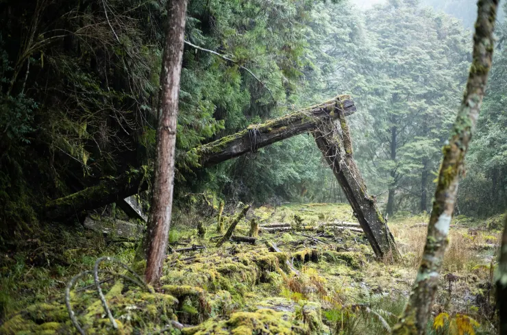 時隔五年重返哈崙，成為台灣山岳雜誌154期封面的哈崙四號下索道頭，也象徵我對山林歷史的喜愛和結晶。