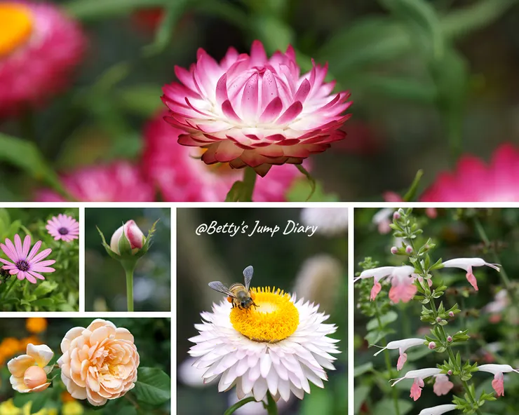 ▲桃園楊梅「雅聞魅力博覽館」/圖片來源:Betty's Jump Diary