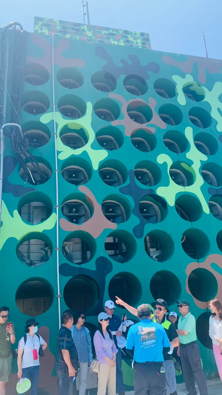 仔細一看，才發現洞裡藏有秘密。