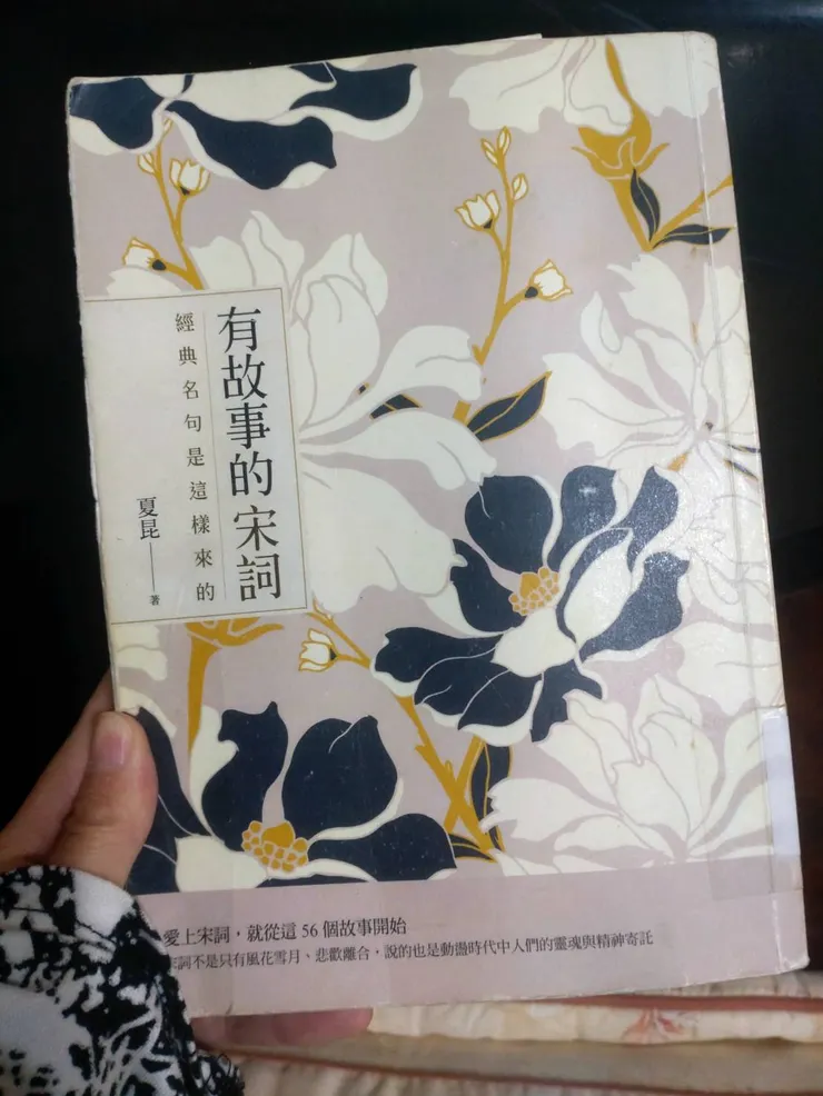 《有故事的宋詞:經典名句是這樣來的》夏昆著,2023,日出出版