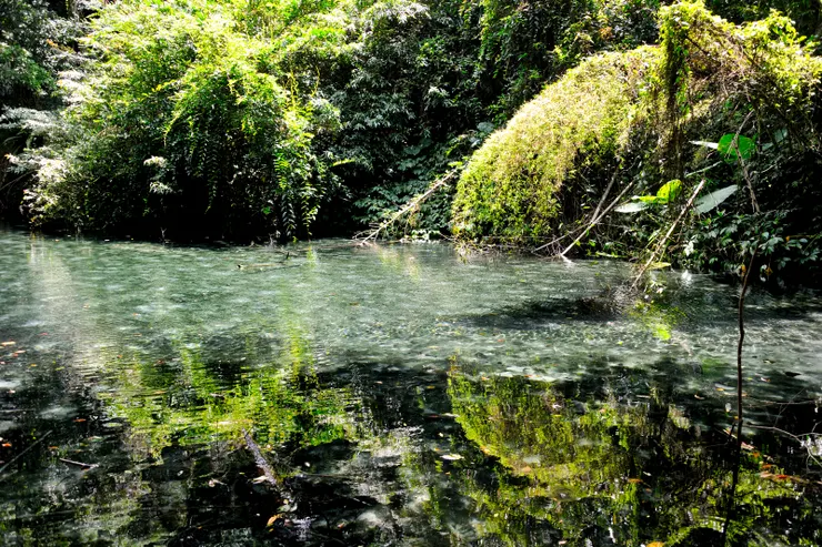 【四十二份溪流湧泉依舊清澈見底 山水如恆但人皆無恙多麼不容易】