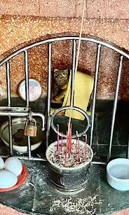 虎爺公（圖片截圖於網路）