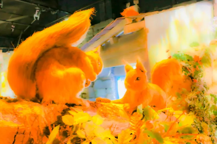 彼得兔童話世界中的松鼠角色