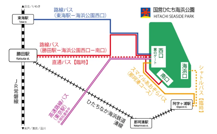 圖片來源:常陸海濱公園