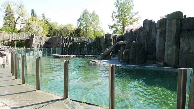 海豹的展區就大很多(可憐的企鵝)