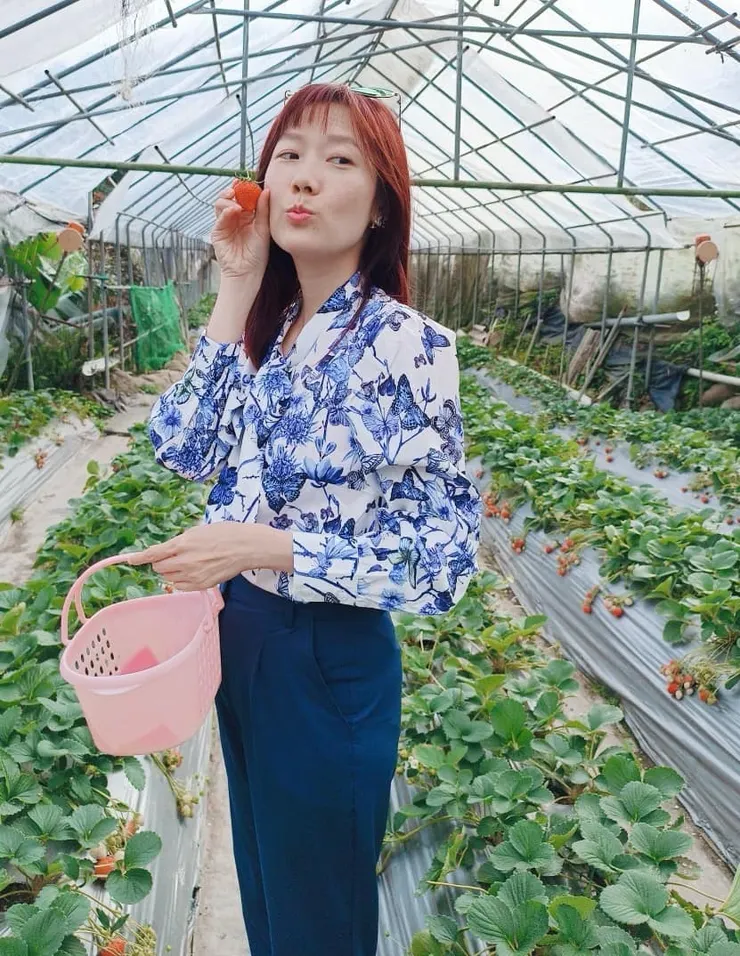 萬綠叢中一點紅