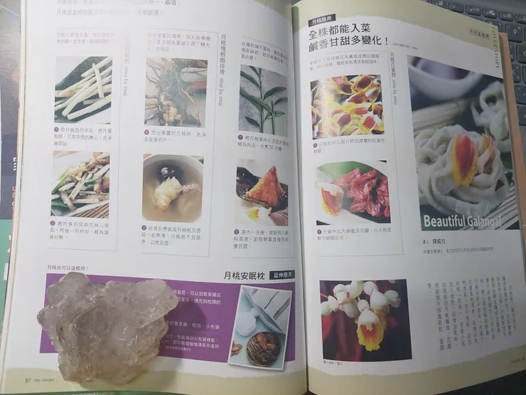 刊登在《花草遊戲》中的月桃全株食譜