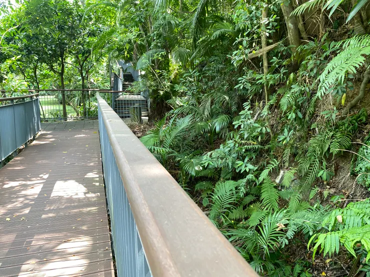 這一條路是從前衛哨巡邏的路線之一「大智路」