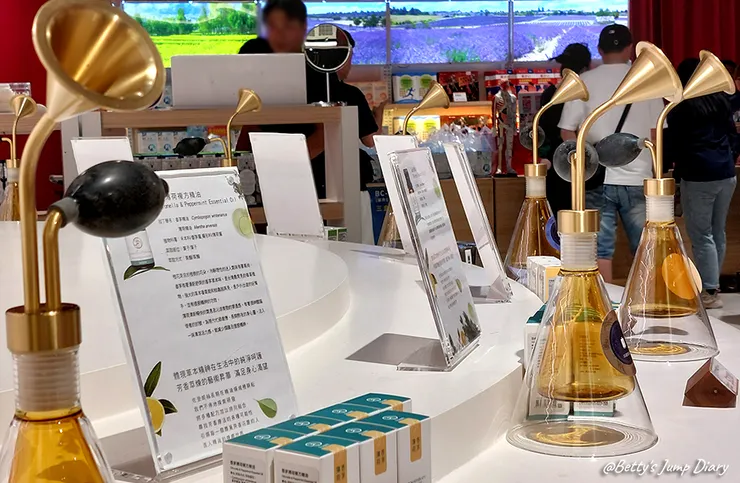 ▲佐登妮絲城堡/圖片來源:Betty's Jump Diary