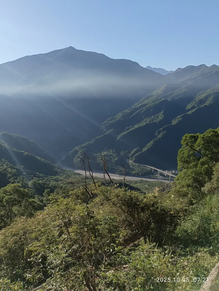 光簾翠幕旋驚散