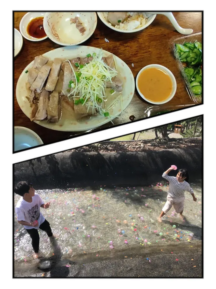 三灣鵝肉/一輩子戰友