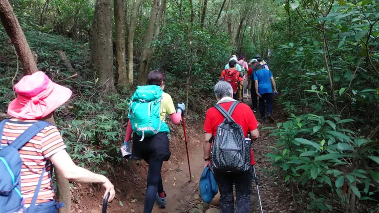 這段林木密集較不透風容易出汗~對體力是個考驗(七旬教官強吧!)