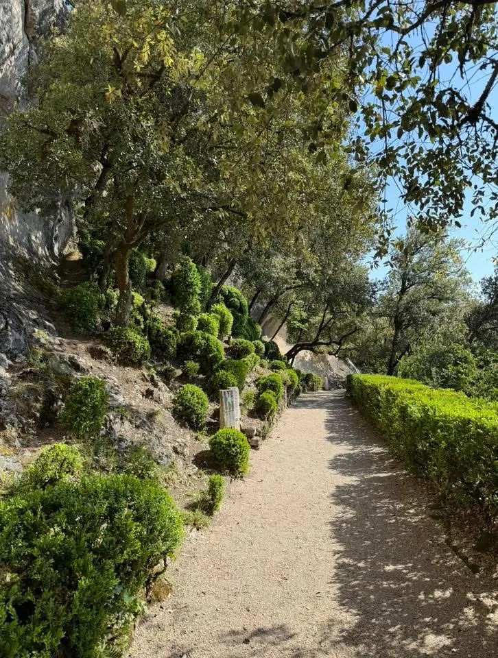 清幽的登山步道