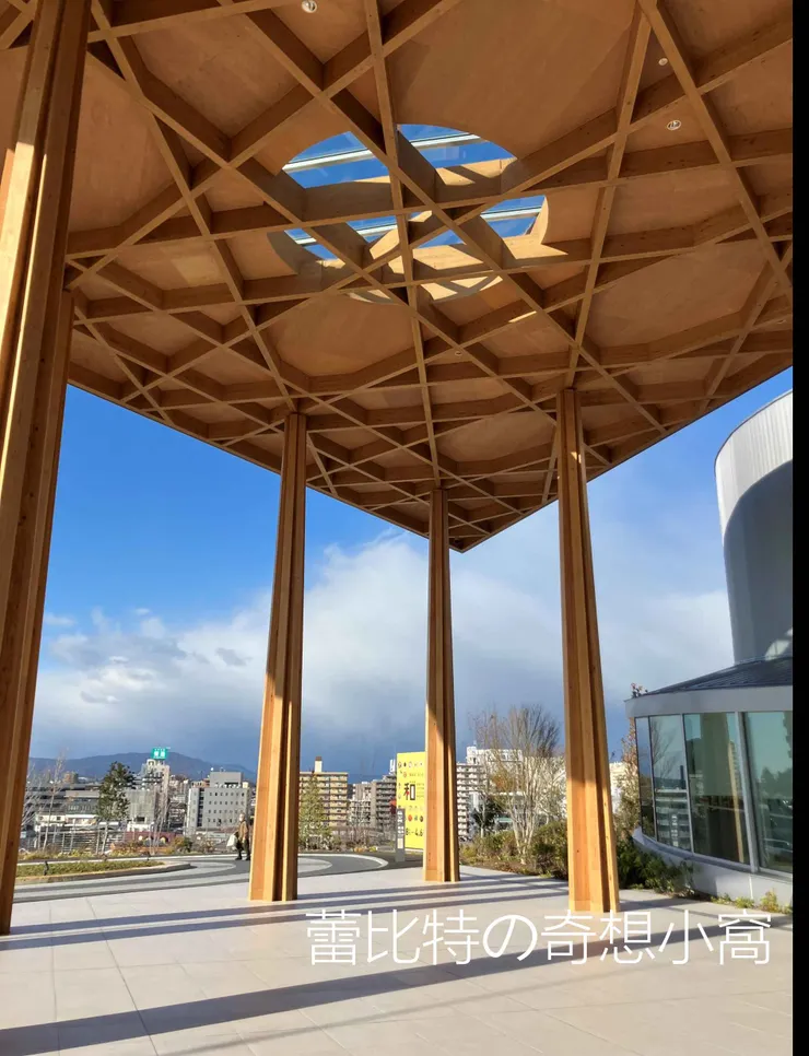 入口造型天花，有一個透空的區域，應該是某種LOGO圖案