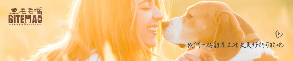 毛毛嘴 人寵共好的沙龍