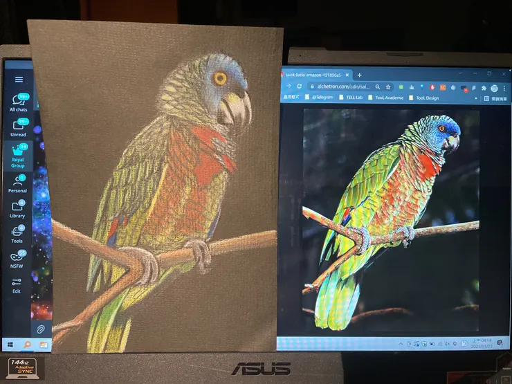 聖露西亞鸚鵡,04:14 的完成狀態