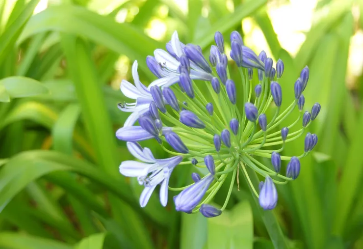 資深美少女攝於清境農場雲舞樓